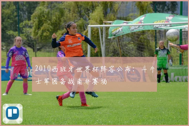 2010西班牙世界杯阵容公布：斗牛士军团备战南非赛场