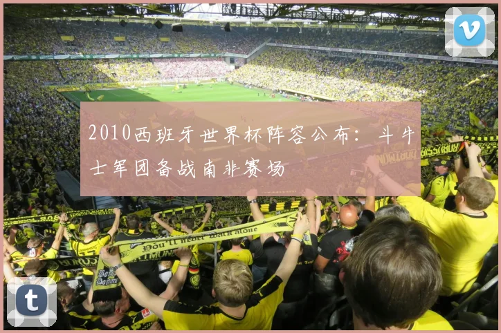 2010西班牙世界杯阵容公布：斗牛士军团备战南非赛场