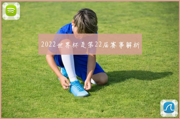 2022世界杯是第22届赛事解析