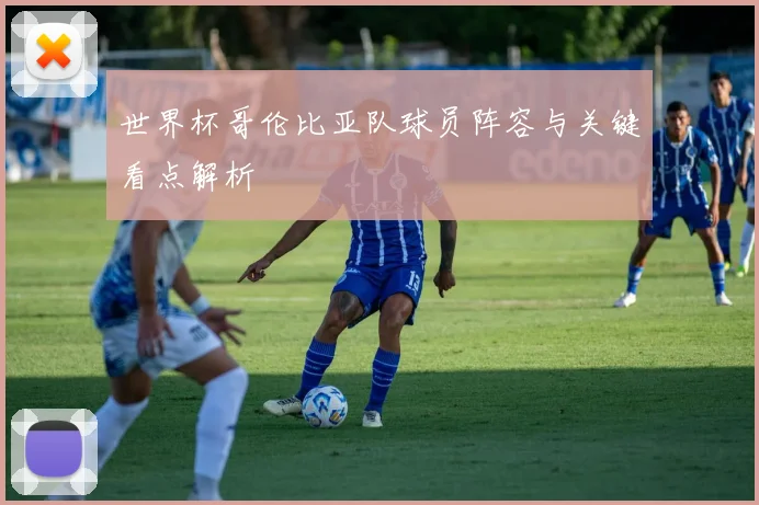 世界杯哥伦比亚队球员阵容与关键看点解析