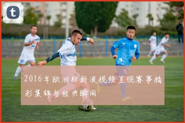 2016年欧洲杯新浪视频呈现赛事精彩集锦与经典瞬间