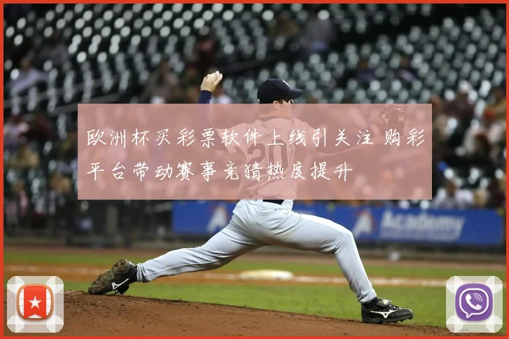 欧洲杯买彩票软件上线引关注 购彩平台带动赛事竞猜热度提升