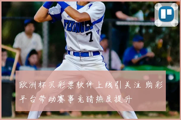 欧洲杯买彩票软件上线引关注 购彩平台带动赛事竞猜热度提升