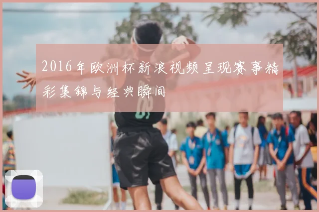 2016年欧洲杯新浪视频呈现赛事精彩集锦与经典瞬间